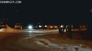 speed need dirt removal animated GIF