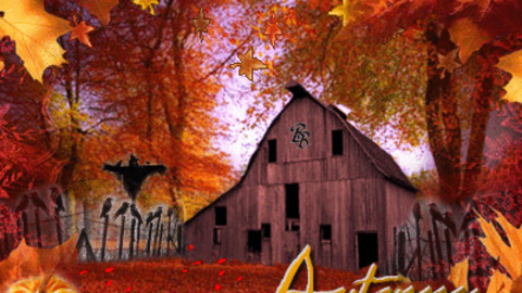 autumn gif autumn gif