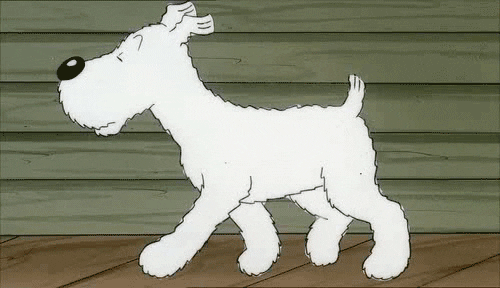 giphy.gif