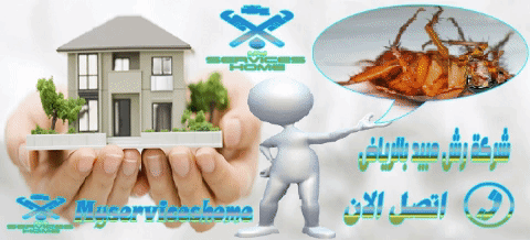 مكافحة حشرات بالرياض Fighting insects in Riyadh