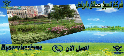 شركة تنسيق حدائق بالرياض