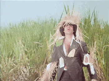 scarecrow animated GIF