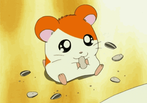 http://media.giphy.com/media/8BmhhE4B8h5ra/giphy.gif