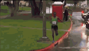 http://media.giphy.com/media/8ZRbsztZDlRdu/giphy.gif