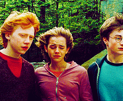 harry potter animated GIF