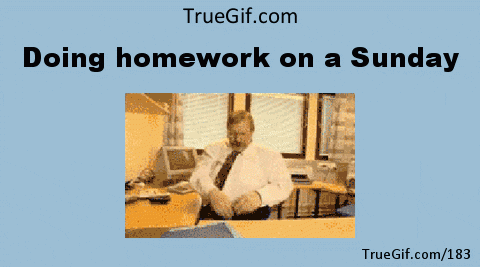 homework animated gifs