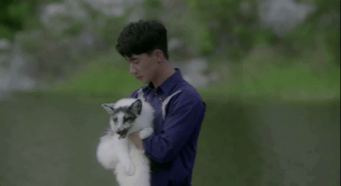 Animated GIF - Find & Share on GIPHY