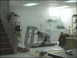  Animated Gif on Giphy