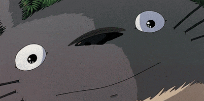 my neighbor totoro Animated Gif on Giphy