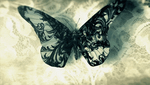 Butterfly Animated GIF