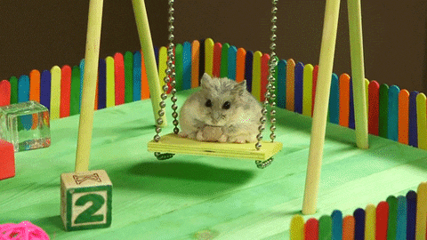[Image: giphy.gif]