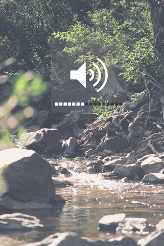 river water gif camping river gif camping gif animated GIF