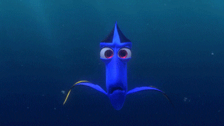 Idk What To Tag Finding Nemo GIF - Find & Share on GIPHY