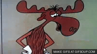 Image result for MR-KNOW-IT-ALL GIF BULLWINKLE gifs