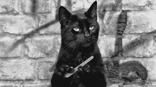 chat souffrir