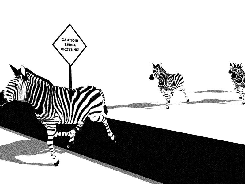 cartoons & comics zebra animated GIF