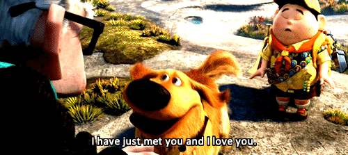 love animated GIF