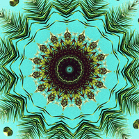 trippy psychedelic california graphic design the current sea thecurrentsea thecurrentseala mandala sarah zucker trippy gif kaleidoscope brian griffith psychedelic gif photoshop tutorial palm tree palm thesarahshow sarah zucker jeopardy palms gif tutorial mandala gif skillshare how to make a gif kaleidoscope gif california gif palm tree gif palm gif cayucas gif skillshare design west coast gif