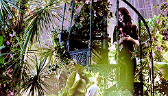 lily collins animated GIF