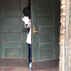 http://media.giphy.com/media/DycUNdVmuXbMI/giphy.gif