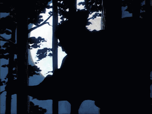 shortener shorten night animated gif dimensions: 500x375 size