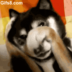 dog animated GIF
