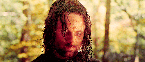 ... lord of the rings fellowship of the ring aragorn elise animated GIF
