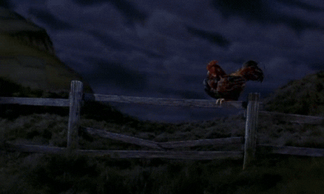 James And The Giant Peach GIF - Find & Share on GIPHY