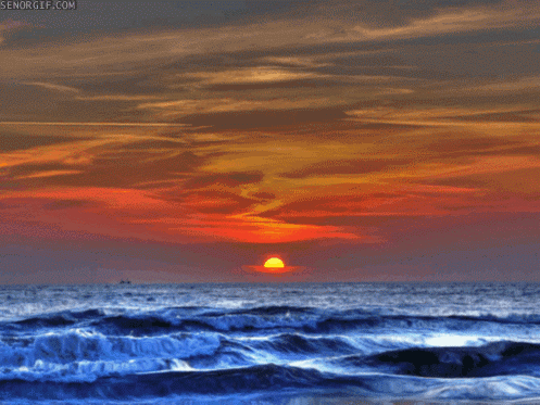   Ocean Sunset GIF - Find & Share on GIPHY 