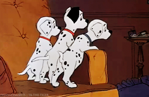 101 Dalmatians Dog GIF - Find & Share on GIPHY