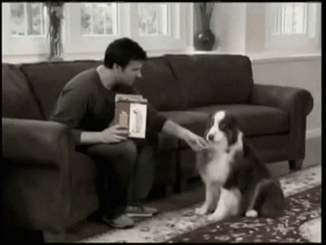 Dog Infomercial GIF - Find & Share on GIPHY