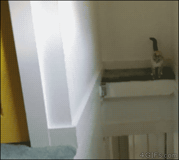 Image currently unavailable. Go to www.generator.cluehack.com and choose Clumsy Ninja image, you will be redirect to Clumsy Ninja Generator site.