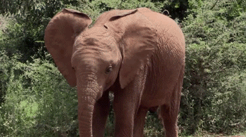 share save a_shaq_on_titan 2 points·2 years ago xd why is that