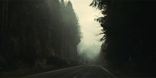 this gif has everything: trippy, nature, beautiful, smoke!