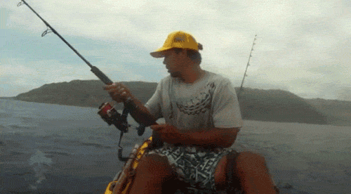 sports buzzfeed surprise fishing sharks animated GIF