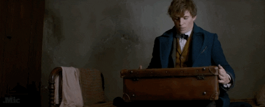 Harry Potter Film GIF - Find & Share on GIPHY