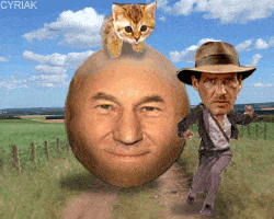  Animated Gif on Giphy