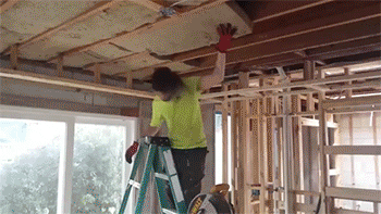 imagem retirada da internet