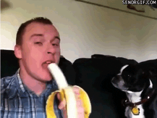 giphy.gif