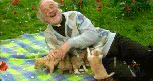 shortener shorten father ted jack gif dimensions: 500x266 size