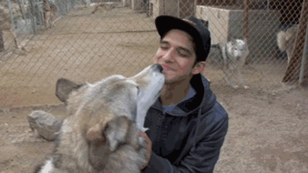 keysmash 12 days of gifmas day 7 smiley tyler posey wolf kiss gif