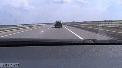 search all the gifs