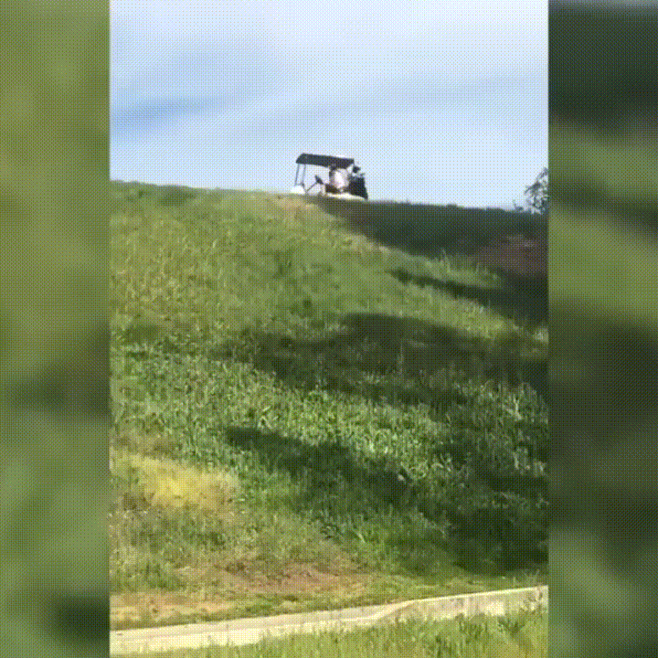 Golf Course GIF - Find & Share on GIPHY