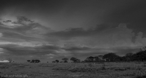 black and white animated GIF 