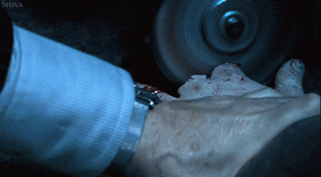 giphy.gif