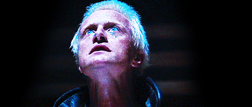 ready animated GIF