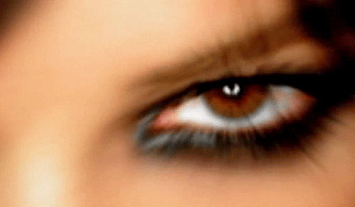 gif shortener shorten