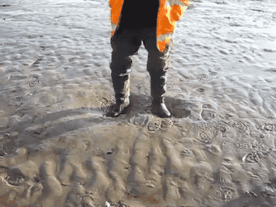 animated quicksand animated GIF