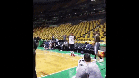 giphy.gif