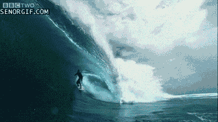 win (1560) Animated Gif on Giphy